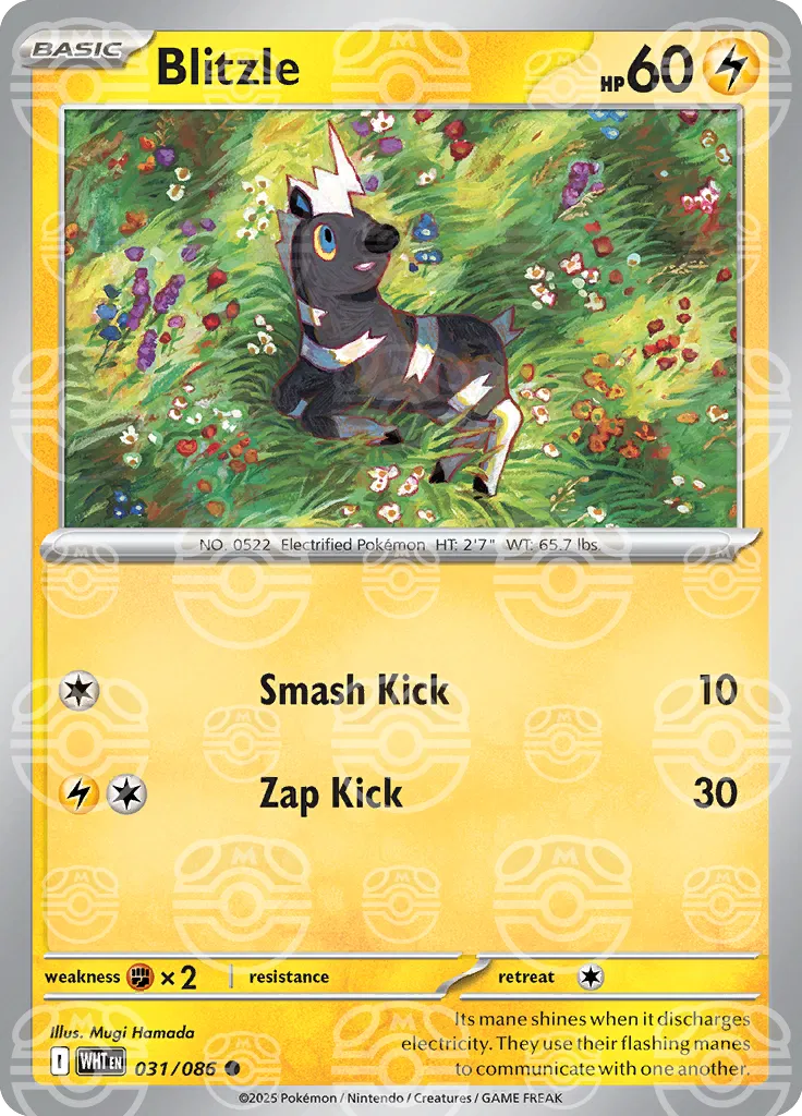 Blitzle 031/086 (Master Ball Pattern)