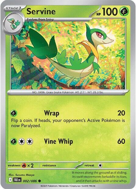 Snivy REV HOLO Black Bolt (BLK)