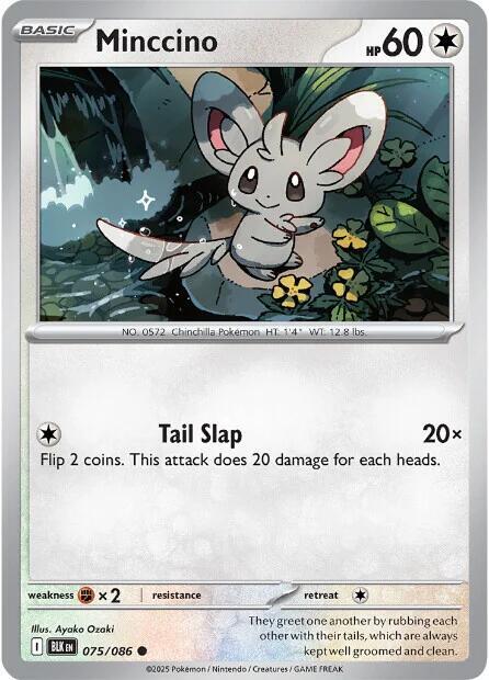 Minccino REV HOLO Black Bolt (BLK)