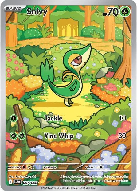Snivy Black Bolt (BLK)