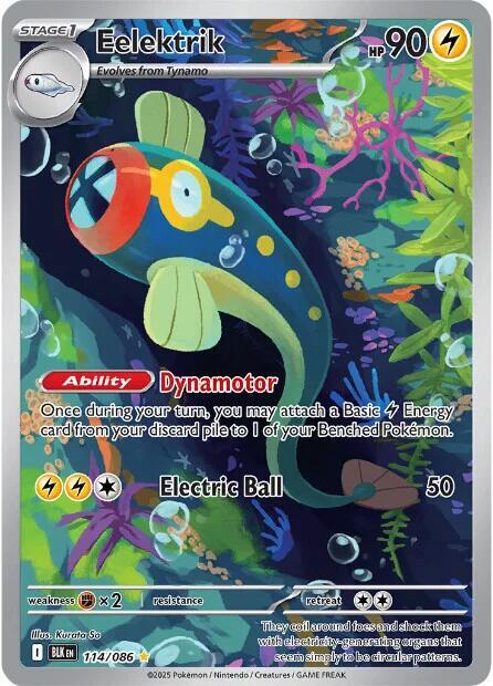 Eelektrik Black Bolt (BLK)