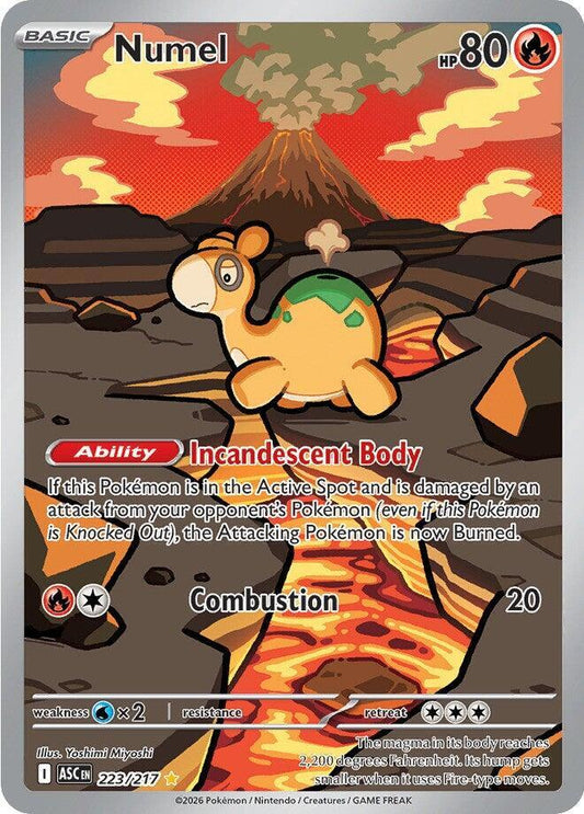 Numel - 223/217 - ME: Ascended Heroes (ASC)