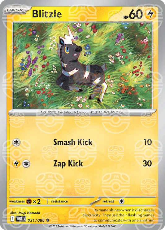 Blitzle 031/086 (Master Ball Pattern)